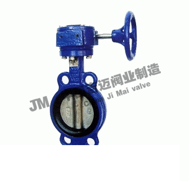 D371F蝸輪氟橡膠蝶閥